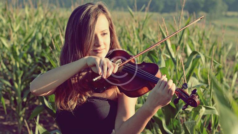 Violonchelo